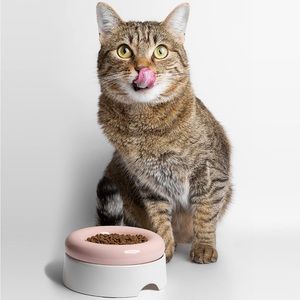 Cat Guru Cat Food Bowl and Table(Not sold out still available)